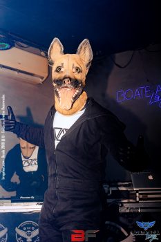 Rave dos Dogs
