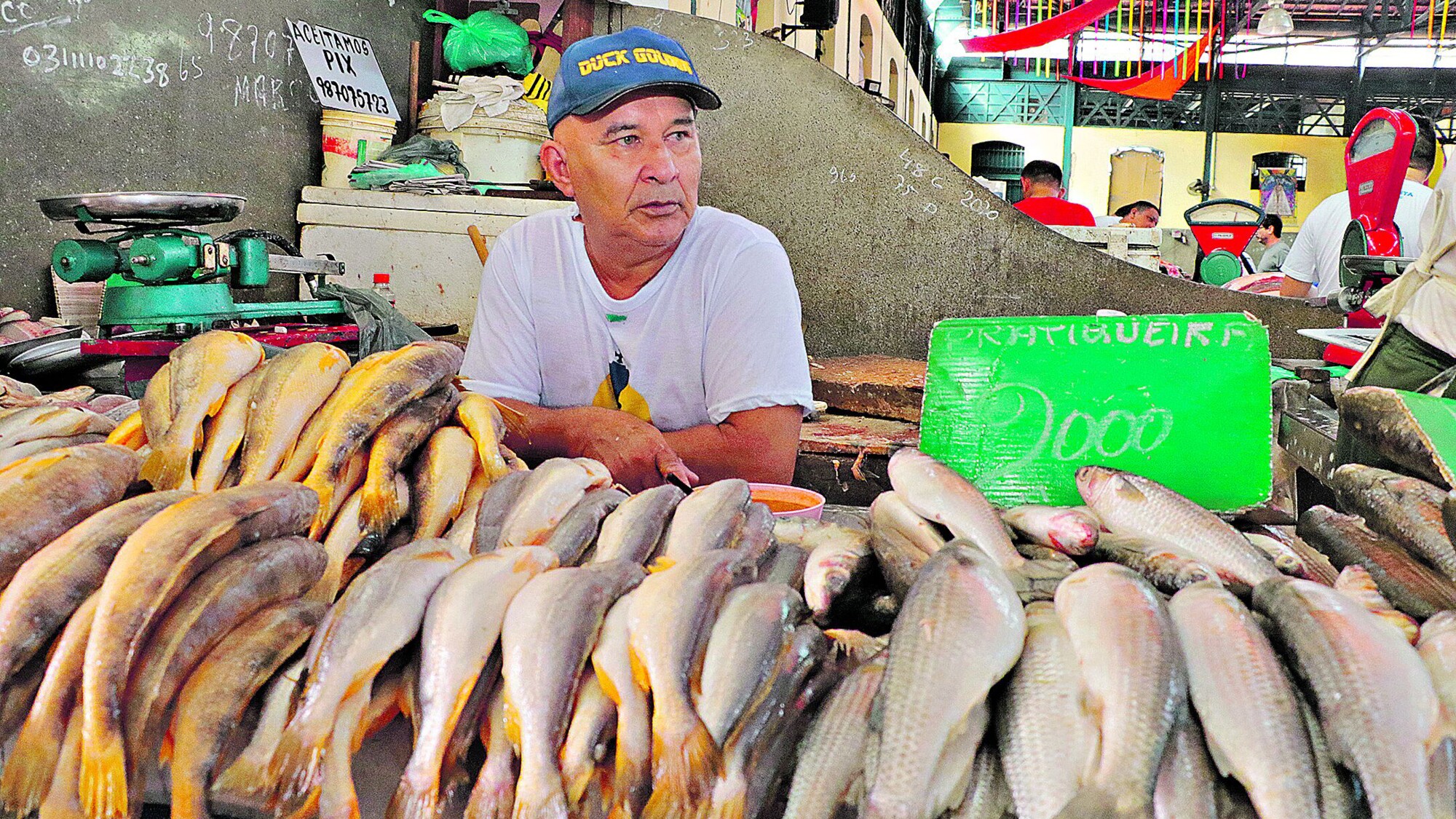 Preço do pescado teve reajuste em fevereiro de até 11%