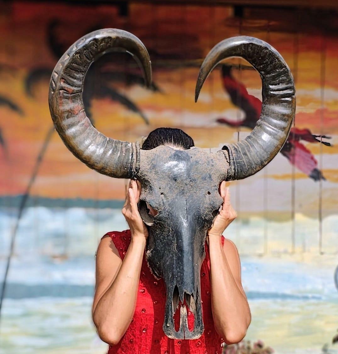 Exposição 'Amazônidas' chega a Belém após temporada no Rio de Janeiro